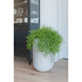 Pottery Pots Ridged Cody High ronde plantenbak hoog lichtgrijs sfeer